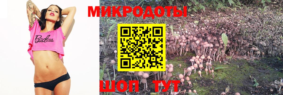 Галлюциногенные грибы MAGIC MUSHROOMS Каменск-Шахтинский